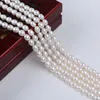 Loose Gemstones Wholesale 8-9mm White Rice Freshwater Pearl Strands