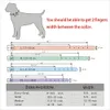 Hundhalsar Leases Bling Rhinestone Puppy Personliga små hundar chihuahua krage Anpassad halsband gratis namn charms husdjur tillbehör 231009