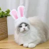 Costumes de chat, chapeau pour Costume, couvre-chef, accessoires de déguisement, Halloween, fête de noël, accessoire pour animaux de compagnie