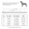 Dog Collars LeashesパーソナライズされたカラーリーシュカスタムPUレザータグ無料の刻まれたネームプレート小さな中程度の大きな犬Pitbull 231009