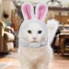 Costumes de chat, chapeau pour Costume, couvre-chef, accessoires de déguisement, Halloween, fête de noël, accessoire pour animaux de compagnie