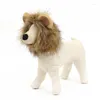 Costumes de chat, casquette fantaisie chaton Lion, perruque, vêtements de Cosplay avec crinière, accessoires, chapeau de fête, animaux mignons, chiens, oreilles amusantes