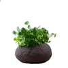 Vase 1PC Home Mini Vase Basin Copper Money Grass Hydroponic Blower Pot Rust Color Living Room Table Accessories Terrarium 231009