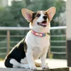 Dog Collars LeashesパーソナライズされたカラーブリングカスタマイズされたアンティロストペットID調整可能なネックレスが刻まれた小さな犬231009
