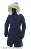 Cappotto in piumino d'oca Giacca invernale da donna Collo in vera pelliccia di lupo Con cappuccio Cappotti caldi e antivento per esterni con cappuccio rimovibile Parka da donna Xs-3xleb29