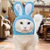 Costumes de chat, chapeau pour Costume, couvre-chef, accessoires de déguisement, Halloween, fête de noël, accessoire pour animaux de compagnie