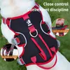 Colliers pour chiens Laisses Accessoires Harnais de marche en plomb Laisse Maille Harnais réglable Collier Gilet Chiot Moyen Pour Oxford Chien Chat Pour Chiens De Compagnie Petit 231009