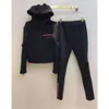 Luxo 5A Primavera Mulheres Tracksuits Jaqueta Camisola Com Calças Trouse Esporte Slim Manga Longa para Senhora Letras Zippers Outono Terry Tops Camisas Hoodie Conjuntos Mulheres