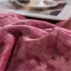 Conjuntos de cama Luxo Magic Velvet Duvet Capa Inverno Quente Flanela Engrossar Cama Quilt Plush Coverno Fronha Folha 231009