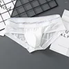 Sous-vêtements hommes Triangle slips sous-vêtements glace soie maille gay slips lingerie respirant séchage rapide couleur unie