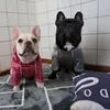 Vêtements pour chiens Sweat à capuche par temps froid à la mode chaud confortable sweat-shirt pour animaux de compagnie pour l'hiver fournitures premium