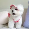 Vêtements pour chiens Chiot Chemise à carreaux bleu Été Jupe de style mince Pet Jolie Princesse Teddy Jarretelle Robe respirante que l'ours sans chapeau