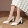 Kleidschuhe Frühling Herbst 2023 Square Head Solid Leder gekrönt Damen High Heels Mode äußerlich tragen flache Schnittfrauen