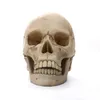 Decorative Objects Figurines 1 Human Head Skull Statue for Home Decor Resin Halloween Decoration Sculpture Teaching Sketch Model Crafts 231009