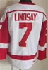 Retro Hockey Vintage 7 Ted Lindsay Jersey CCM 5 Nicklas Lidstrom 4 Gordie Howe 1 Terry Sawchuk 40 Henrik Zetterberg 33 Kris Draper Classic Emetre 75th Red White Mens Mens