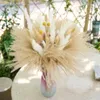 Dekorativa blommor 85 st naturliga torkade pampas dekor fluffy pompas gräs boho hem bukett för bröllop blommor rum dekorationer