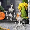 Other Event Party Supplies 40cm Halloween Human Skeleton Fake Human Skull Bones Halloween Party Home Bar Decorations Haunted House Horror Props Ornament Q231010