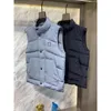 Parkas en duvet pour hommes, gilet d'hiver 2023, col montant en pierre, manteau en métal et Nylon, 231009