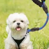 Dog Collars Walking Leash Padded Handle No Pull Traction Rope Reinforced Stitching Outdoor Training Tool For Small Medium And Large Dogs