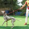 犬の首輪反射Pチェーン大鎖スリップカラーペットウォーキングリード爆発プルーフビッグクライミングロープ快適なダブルハンドル