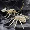 Autres fournitures de fête d'événement Décoration d'Halloween Accessoires d'os Animaux Squelette Ornements Bat Araignée Dragon Oiseau Os Halloween Horreur Décoration de fête Q231010