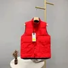 2023 Célèbres hommes vers le bas hommes femmes gilet styliste veste d'hiver manteau hommes de haute qualité gilets décontractés hommes styliste vers le bas 5 couleurs taille S-2XL