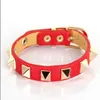 new LOVELY Fashion star style women's bracelet and candy multicolour Women strap rivet bracelet for Gift195q