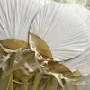 Party Favor 50Pcs DIY Decoration Wedding Favors Paddle Fan Round White Paper Hand Baby Shower Guest Gift