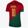 2023 Portugalia koszulki piłkarskie 23 Felix Ruben Dias koszulka piłkarska Bernardo B. Fernandes Ronaldos Andre Sia Camisa de Futebol Joao Cancelo Men Kits na świeżym powietrzu