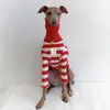 Ropa para perros Lindo cuello alto Colorblock Ropa de galgo italiano Algodón Estiramiento Cachorro Whippet / Bellington Mascota mediana