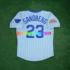 Sammy Sosa Ron Santo Mark Grace Cubs Baseball Jersey Ryne Sandberg Andre Dawson Ernie Banks Greg 31 Maddux Billy Williams Wrigley 100th Harry Caray Patch S-4XL