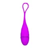 Вибраторы Love Egg Vibrator для мужчин Косплей Взрослые женщины Женские трусики Комплект с 10 секс-насосами для пар Вагина Игрушки для ногтей 231010