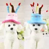 Hundkläder cosplay huvudbonader tillbehör födelsedagstårta fest dräkt mössor hatt huvudbonad husdjur kap katt