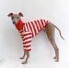 Ropa para perros Lindo cuello alto Colorblock Ropa de galgo italiano Algodón Estiramiento Cachorro Whippet / Bellington Mascota mediana