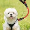 Dog Collars Walking Leash Padded Handle No Pull Traction Rope Reinforced Stitching Outdoor Training Tool For Small Medium And Large Dogs