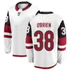 Hockey personalizado 70 Karel Vejmelka Jerseys 22 Jack McBain 17 Nick Bjugstad 19 Shane Doan 38 Liam OBrien 51 Troy Stecher 72 Travis Boyd 90 JJ Moser Centenario inverso