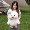 Poupées en peluche créatif petit gros canard jouet mignon canard moelleux poupée oreiller garçon fille anniversaire cadeau chambre décoration animaux en peluche 231009