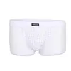 Sous-vêtements Hommes Sexy Boxers Sous-vêtements Respirant Boxer Marque Soie Creux Ropa Interio Homme Pénis Cueca Masculina Taille 3XL Lingerie