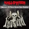 Inne imprezy imprezowe dostarcza 28 szkieletów Kość szkieletu z Czaszką Sztuczną realistyczną szkieletową posąg na Halloween Upiorne Graveyard Ground Bar Decoration Q231010