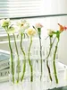 Vases Ensemble de Tubes de Vase en verre transparent suspendus porte-fleurs conteneur de plantes Vases à fleurs pour la décoration de la chambre à la maison 231009