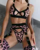 Andere slipjes Ellolace Luipaardlingerie Met kous Uitgesneden BH Sensuele korte sets 4-delig Doorzichtig kant Fancy ondergoed Kousenband Intiem 231010