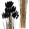 Decoratieve Bloemen 60 Stuks Staarten Gedroogde Droge Decoratie Halloween Thuis Bruiloft Zwarte Bloemstukken Huishouden