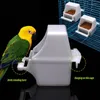 Autres fournitures d'oiseaux 2in1 bol d'eau de nourriture double tasse d'alimentation pigeons canari cage mangeoire perroquet animal volière support suspendu buveur boîte conteneur