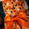 Vêtements pour chiens Vêtements d'Halloween Robe Vêtements pour animaux de compagnie drôles Costume Petits chiens Fournitures