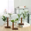 Vases Terrarium Hydroponic Plant Vases Vintage Flower Pot Transparent Vase Wooden Frame Glass Tabletop Plants Home Bonsai Decor 231009