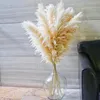 装飾的な花10pcs高さ80cmの自由hoho装飾花瓶フィラーのための大きな乾燥パンパスグラスホームパーティーウェディングポンパフローラル