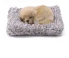 Brinquedos de pelúcia adorável simulação animal labrador/husky boneca pelúcia dormir cães brinquedo crianças brinquedo decorações presente aniversário crianças