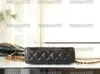 10A Designer di qualità a specchio Mini borse per la spesa da donna Pulfato Pulgo trapuntato Luxurys Hand Casual Borse Crowbody Black Sphey Chain cinghia con scatola con scatola