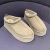 Designer Tazz Tasman piattaforma mini stivali classici scarponi da neve australiani donna uomo pelliccia pelle di pecora castagna sabbia semi di senape beige scarpa invernale alla caviglia