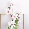 Fiori decorativi Simulazione in stile europeo Film a 7 teste Magnolia Ramo grande Decorazione morbida per la casa Fiore artificiale finto